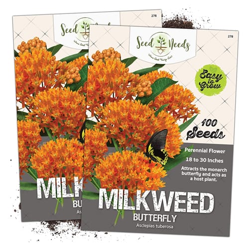 Gifts for Butterfly Lovers Butterfly Milkweed Seeds
