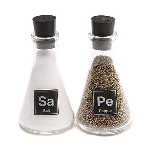 Gift Ideas for Professors Flask Salt and Pepper Shakers