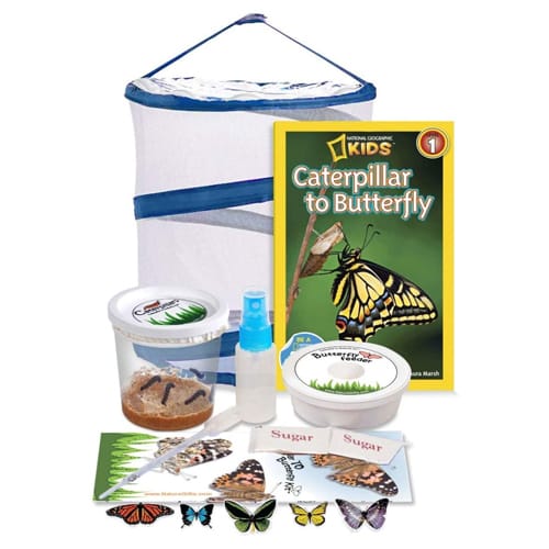 Gifts for Butterfly Lovers Live Butterfly Growing Kit